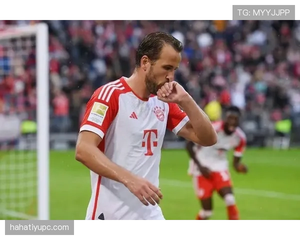 凯恩转会拜仁：转会费与即战力回报分析